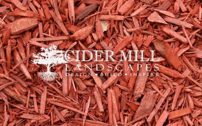 5 Big Problems with Using Dyed Mulch [Why Natural Mulch is Better]
