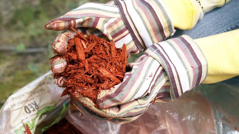 Dyed Red Mulch Colorant